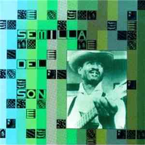 Various - Semilla Del Son