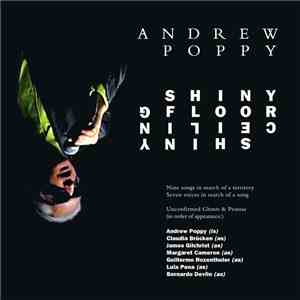 Andrew Poppy - Shiny Floor Shiny Ceiling