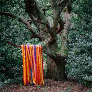 James Holden & The Animal Spirits - The Animal Spirits