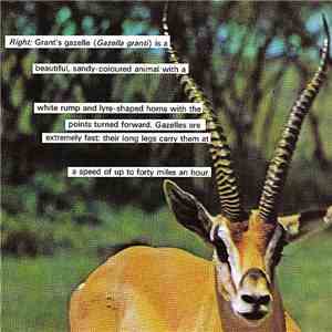 PigLust And The Jezter - I Guess That's Why They Call Me The Gazelle
