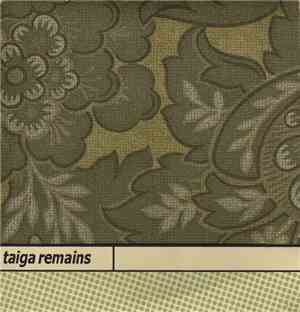 Taiga Remains - Unfamiliar Sphere, Thin As Light