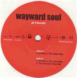 Wayward Soul - DJ Friendly
