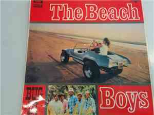 The Beach Boys - Bug-In