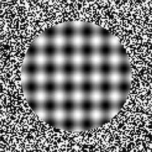BIODOME  - .,mnbvcfgdswq234567890-p[lkmnbgfre323wesdfghjkl;p09876
