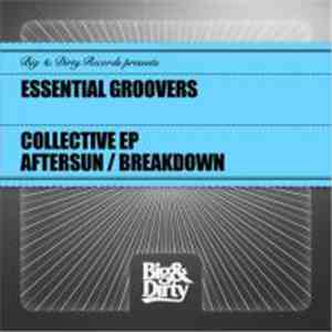 Essential Groovers - Collective