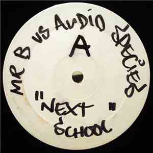 Mr. B  vs. Audio Species - Next School