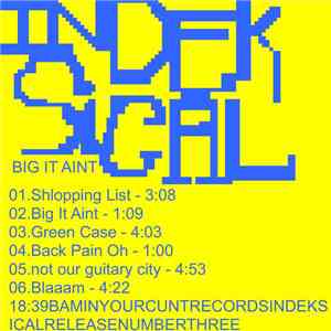 Indeksical - Big It Aint