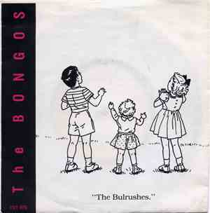 The Bongos - The Bulrushes