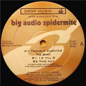 Big Audio Spidermite - Trouble Shooter