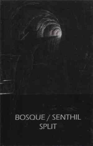 Bosque / Senthil - Split