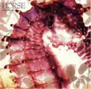 Horse  - Sweet Thing