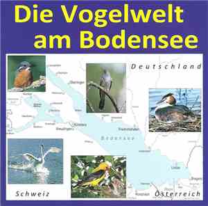 Karl-Heinz Dingler - Die Vogelwelt Am Bodensee