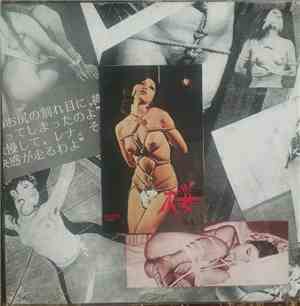 Killer Bug - Shitsuke