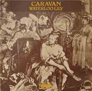 Caravan - Waterloo Lily