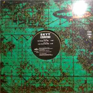 Skyy  - Do It, Get It