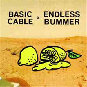 Basic Cable, Endless Bummer  - Basic Cable / Endless Bummer Split Flexi