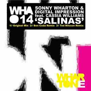 Sonny Wharton & Digital Impression Feat. Cassia Williams - Salinas