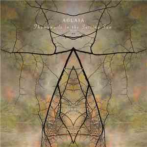 Aglaia - Thumbnails In The Setting Sun