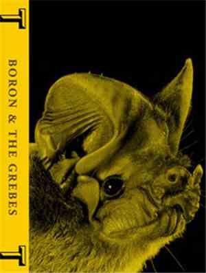 Boron & The Grebes - 2