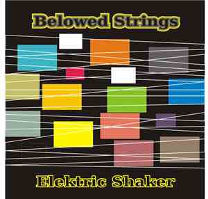 Elektric Shaker - Belowed Strings