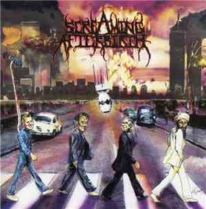 Screaming Afterbirth / Methadone Abortion Clinic - Untitled / Ghoul In Your Stool
