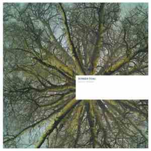 Sunken Foal - Fallen Arches