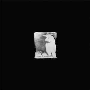 5000  / Rûth / Ilill  / Istilah -  4 Way Split