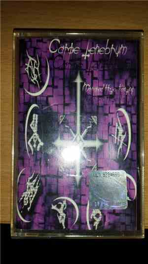 Carpe Tenebrum - Mirrored Hate Painting