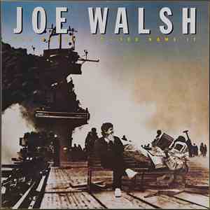 Joe Walsh - You Bought It - You Name It