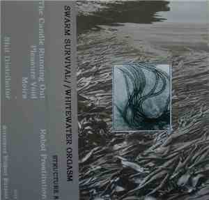 Swarm Survival // Whitewater Orgasm - Split