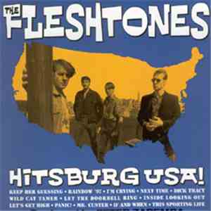 The Fleshtones - Hitsburg USA!
