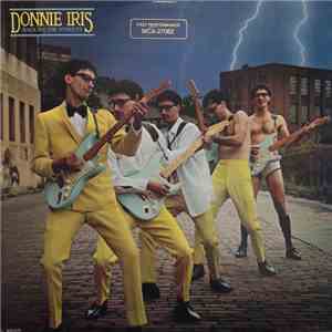 Donnie Iris - Back On The Streets