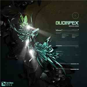 Quorpex - Noahlized