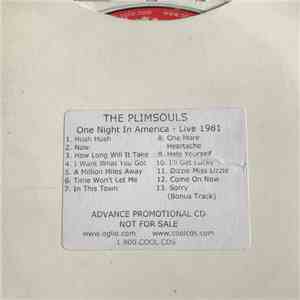 The Plimsouls - One Night In America - Live!