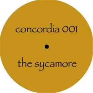Unknown Artist - The Sycamore