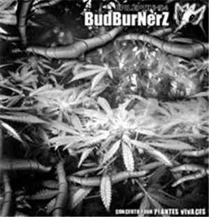 BudBurnerz - Concerto Pour Plantes Vivaces