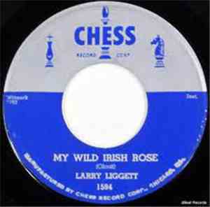 Larry Liggett - The Turtle / My Wild Irish Rose