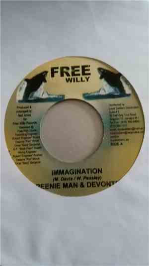 Beenie Man & Devonte / Zahair - Immagination / Everybody Needs Love