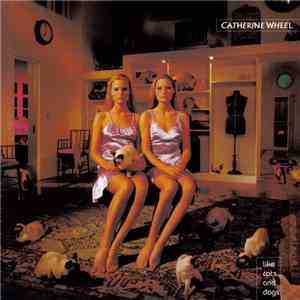 Catherine Wheel - Like Cats And Dogs