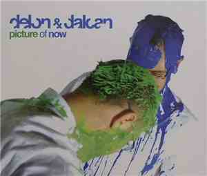 Delon & Dalcan - Picture Of Now