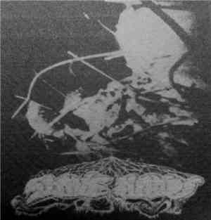Slave Hands - Collapse