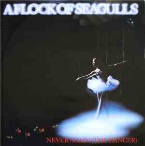 A Flock Of Seagulls - Never Again (The Dancer)
