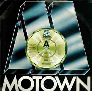 Commodores - Zoom
