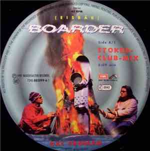 Das Problem - Boarder (Eisbär)