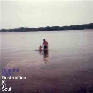 Hospital Ships - Destruction In Yr Soul