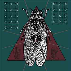 Miscalculations - Echolocation