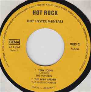 The Hunters, The Untouchables , The Mood-Mosaic, Sounds Inc. - Hot Instrumentals
