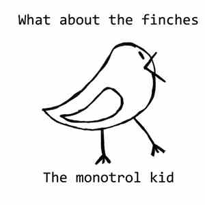 The Monotrol Kid - What About The Finches